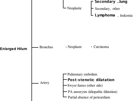 Enlarged_hilum_Converted.jpg