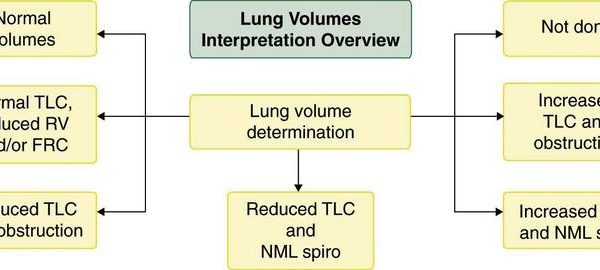 pulmonary-function-fig9_large.jpg