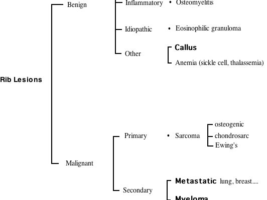 Rib_lesions_Converted.jpg