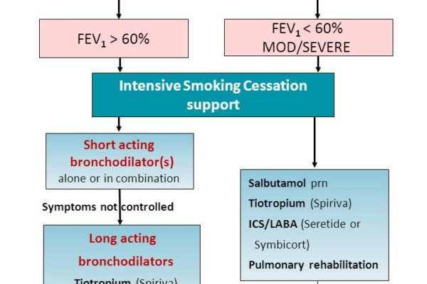 SUGGESTED-COPD-Treatment-Guide-r.jpg