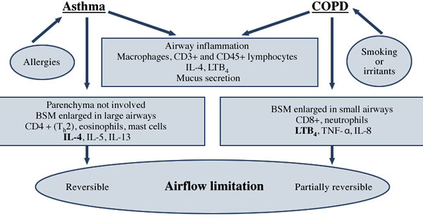 figure11.jpg